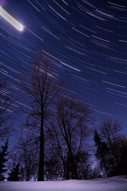 Backyard stars Feb 1 2023-1-3