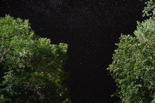 Mille Lacs 2022 - Stars over my Hammock