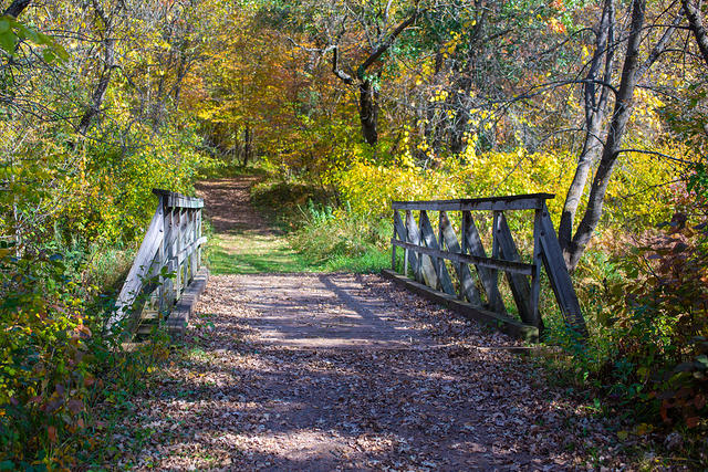 Walking Bridge at Wild River State Park