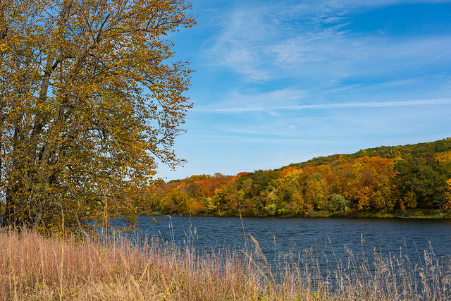 Wild River State Park - St Croix River