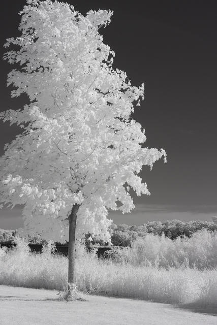 Phalen IR-6827