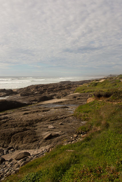 Along the Coast