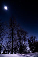 Backyard stars Feb 1 2023-1-2