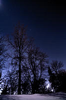Backyard stars Feb 1 2023-1