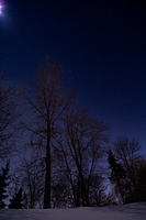 Backyard stars - single shot - Feb 1 2023