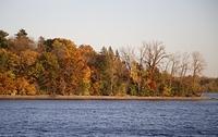 Fall Colors