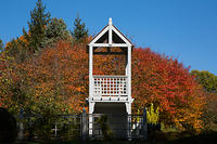 Minnesota Arboretum - Fall 2020