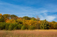 Wild River State Park Fall Colors 2022