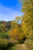 Path at Wild River State Park