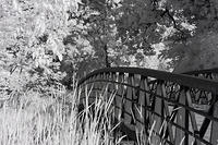 Phalen IR-6773