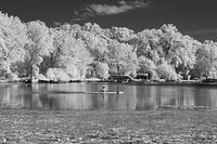 Phalen IR-6778