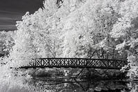 Phalen IR-6793