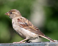 pc08697