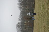 IMG 9771