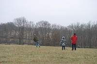 IMG 9772