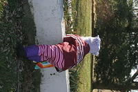 IMG 9780