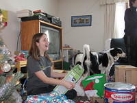 IMG 0596