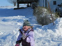 IMG 0633