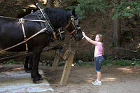 20120906-IMG 0745