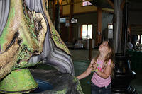 20120906-IMG 0854