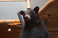 20120906-IMG 0859
