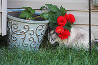20120909-IMG 0962