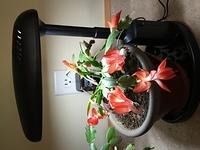 IMG 0651