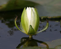 20070622