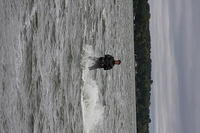 IMG 9477