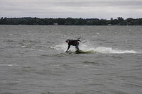 IMG 9496