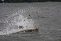 IMG 9501