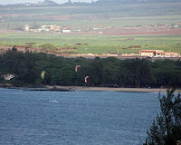 c00562