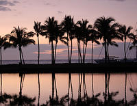sunset scene