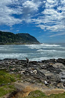 View from Park in Yachats "town"