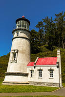 Oregon Coast edit -5811