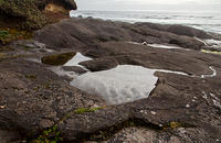 Small Tide Pool