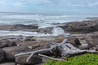 Rocks and driftwood along coast