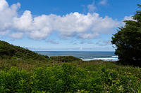 Our View for a Week