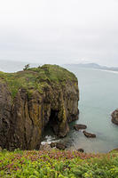 Green point