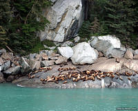 ak2005