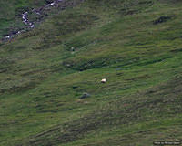 pc07893