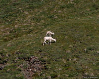 pc08077