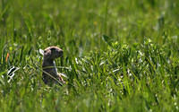 IMG 7865-Edit